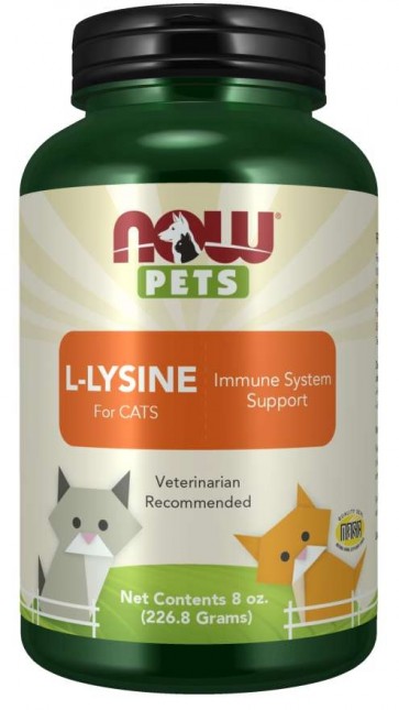 L Lysine for Cats Powder Now foods Pets