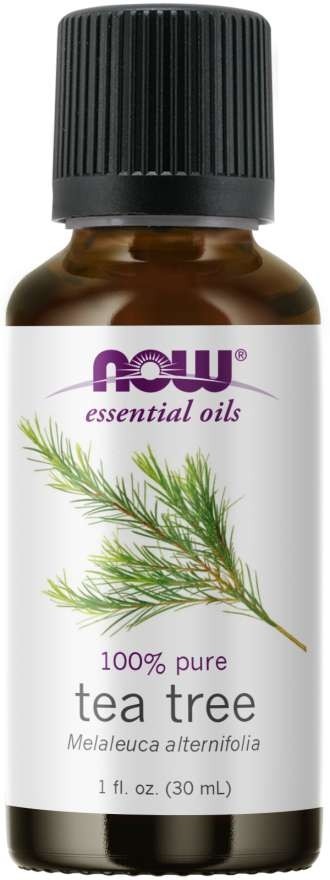 TEA TREE OIL  1oz NOW Foods